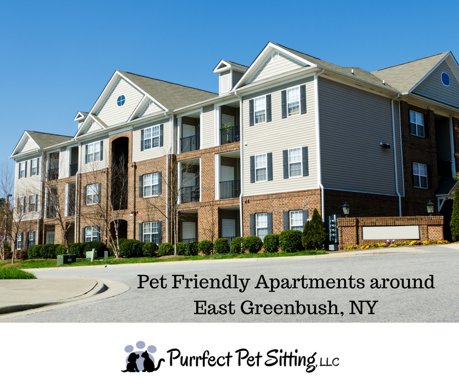 Pet Friendly Apartments Near East Greenbush NY Purrfect Pet Sitting LLC